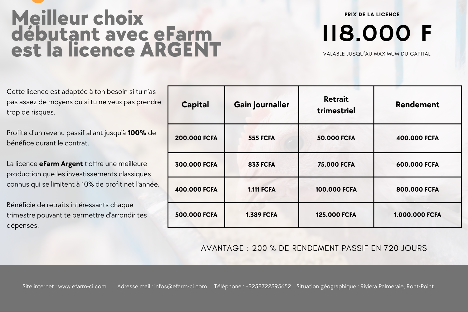 LICENCE argent