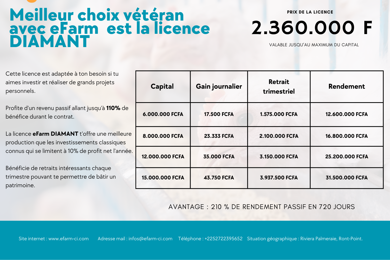 LICENCE diamant